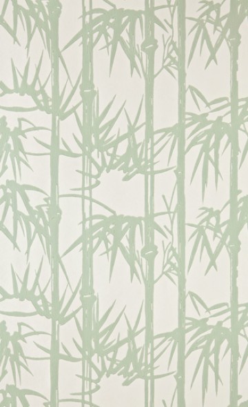 Bamboo BP 2139