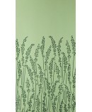 Feather Grass BP 5105