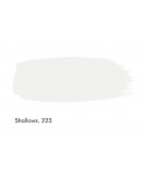 SHALLOWS 223