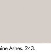 RUBINE ASHES 243