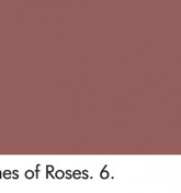 ROŽIŲ PELENAI - ASHES OF ROSES 6