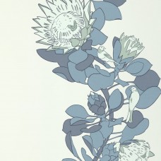 Protea Trail - Blue's Blue